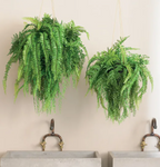 Fern Mixed Ball Hanging