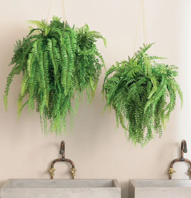 Fern Mixed Ball Hanging