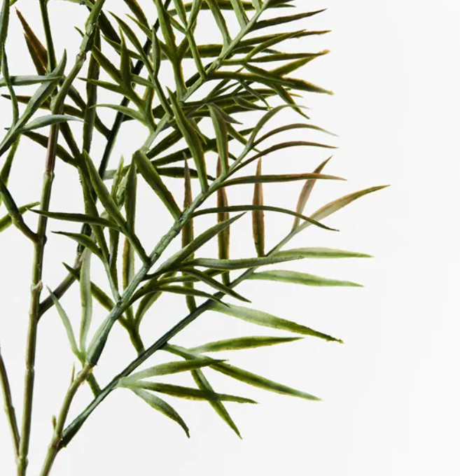 Grevillea Leaf Spray