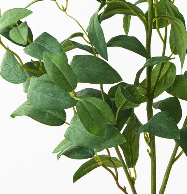 Laurel Leaf Spray