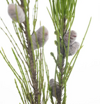 Needle Pine Cone Spray