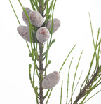 Needle Pine Cone Spray