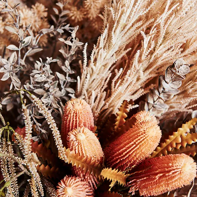Plume Grass - Pink