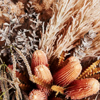 Plume Grass - Pink