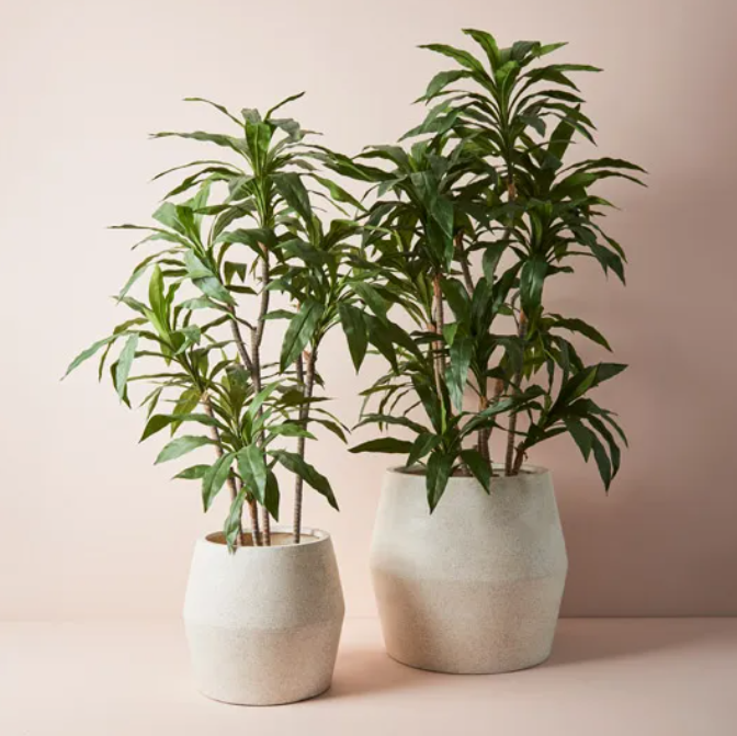 Pot - Cenzo Belka