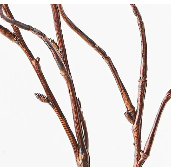 Twig Curly Willow Spray