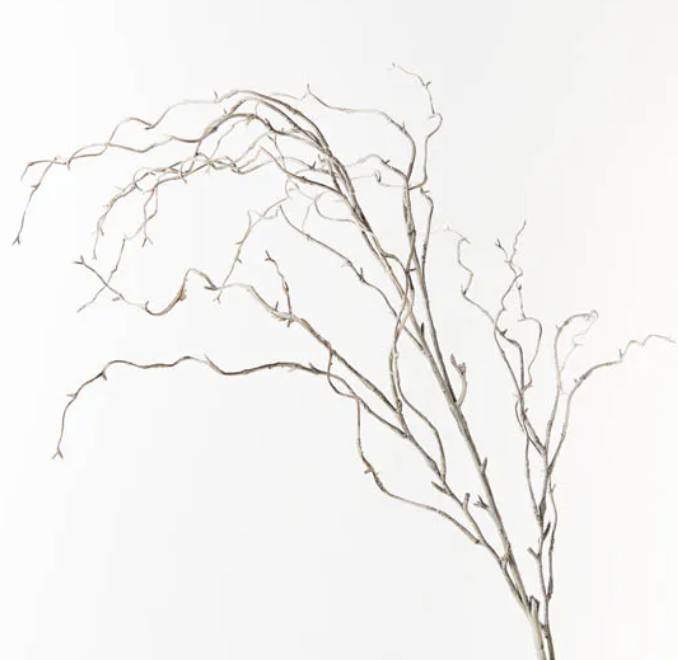 Twig Curly Willow Spray