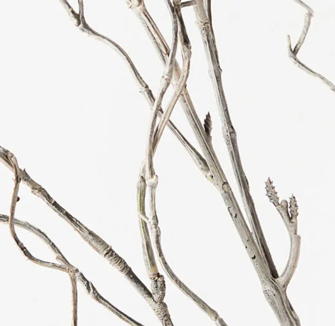 Twig Curly Willow Spray