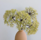 Allium - Green