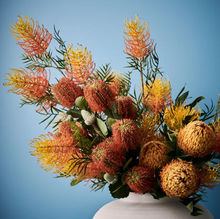 Banksia Acorn - Orange