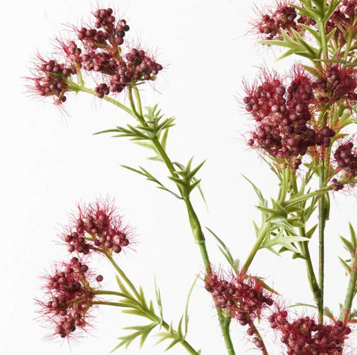 Berry Flowering Spray - Burgandy