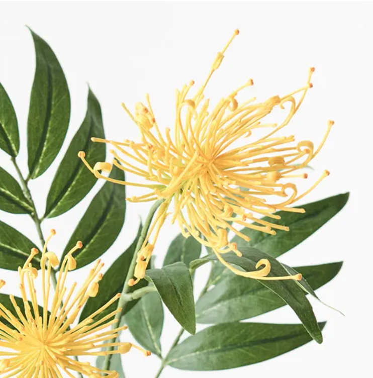 Grevillea Spray - Yellow