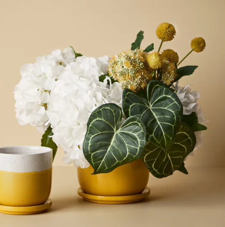 Rose Glory Bower Spray - Cream/Green