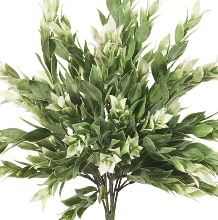 Ruscus Bush - Grey/White