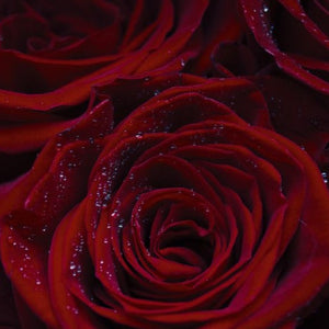 Candle - Bergamot & Red Rose