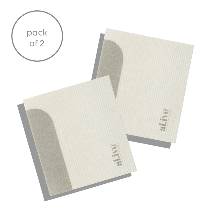 Dish Cloth Set Of 2