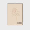 Card - Nude Waratah