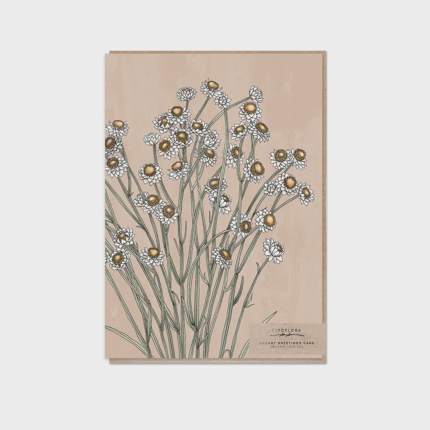 Card - Winged Everlasting