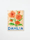 Wall Art - Market Dahlia