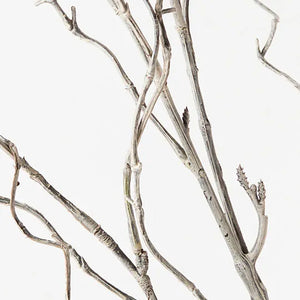 Twig Curly Willow Spray - Grey Wash