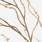 Twig Curly Willow Spray - Sand