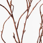 Twig Curly Willow Spray - Brown