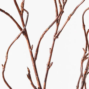 Twig Curly Willow Spray - Brown