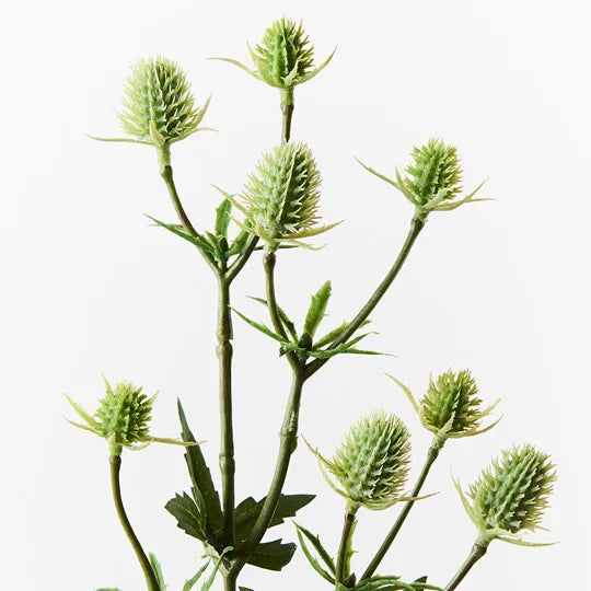 Sea Holly Spray