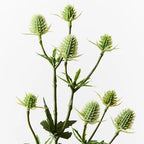 Sea Holly Spray