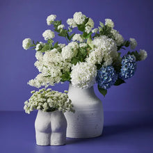 Hydrangea - White