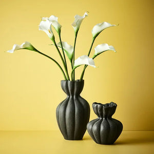 Calla Lily - White