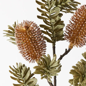 Banksia Spray - Coffee