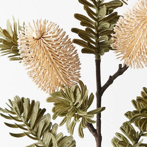 Banksia Spray - Cream