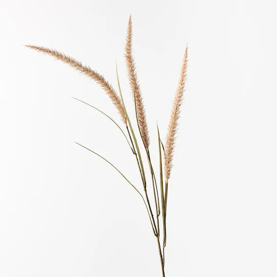 Fountain Grass Spray