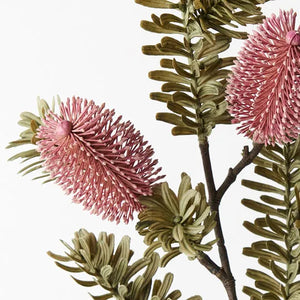 Banksia Spray - Pink