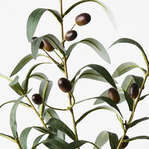 Olive Leaf Spray - Green