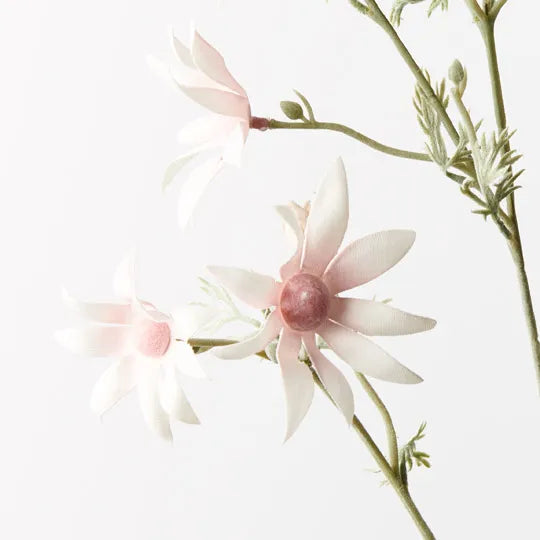 Flannel Flower Spray - Light Pink