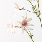 Flannel Flower Spray - Light Pink