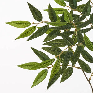 Ruscus Leaf Spray - Green