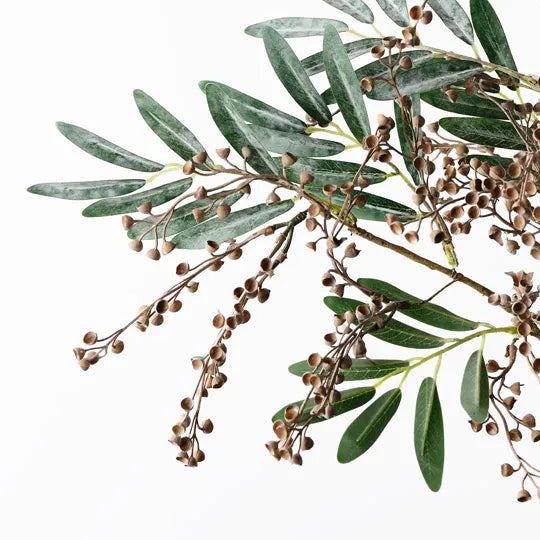 Seed Spray
