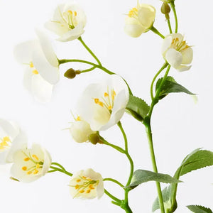 Hellebore Spray - White