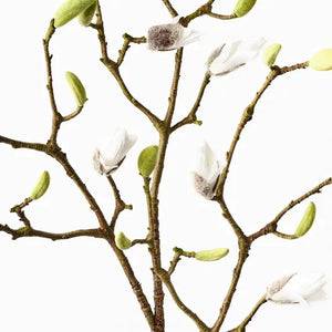 Magnolia Bud Spray