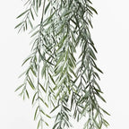 Acacia Leaf Hanging Bush