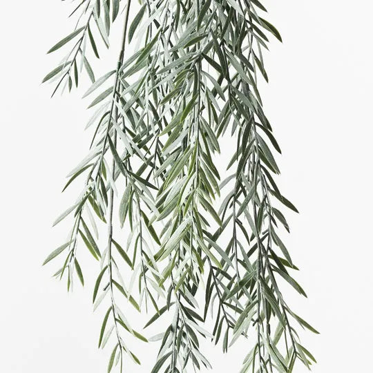 Acacia Leaf Hanging Bush