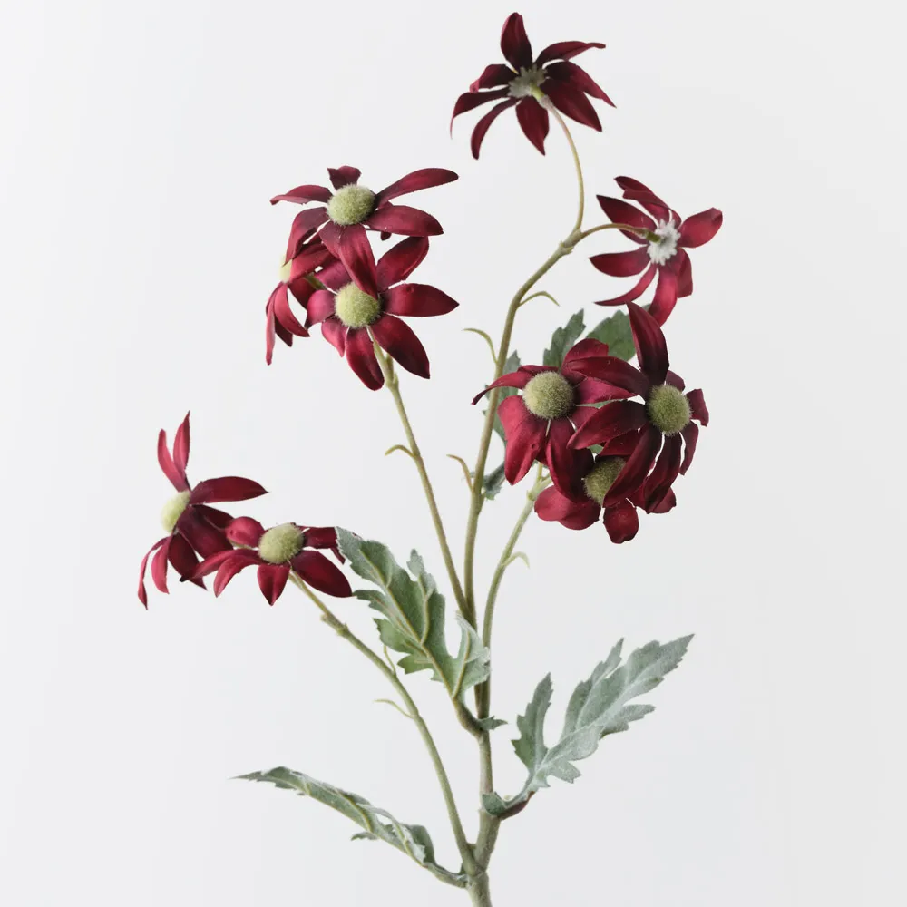 Flannel Flower Spray - Burgundy