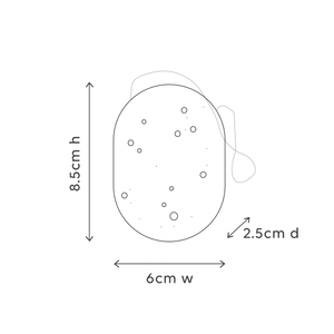 Konjac Sponge