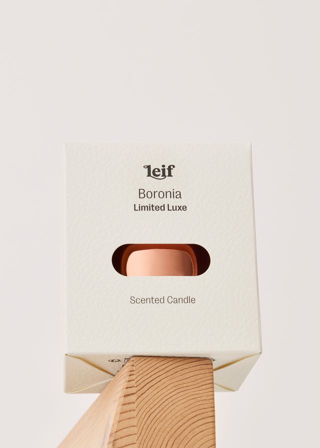 Limited Luxe: Candle 280g - Boronia