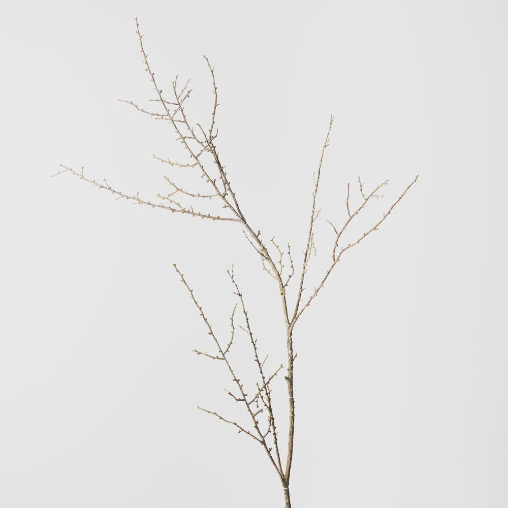 Twig Spray - Brown
