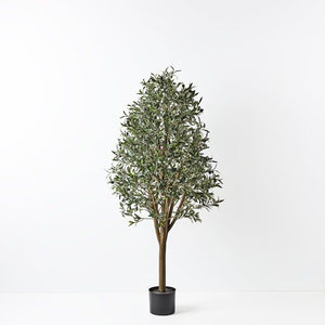 Olive Tree - 150cm - FI8658GR