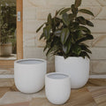 Egg Pot